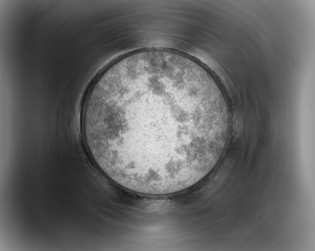 X0000088160886200705291909