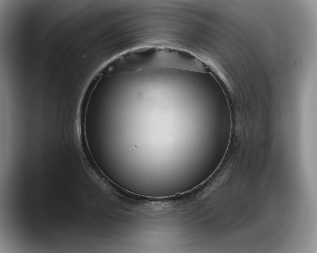 X0000088160888200705291909