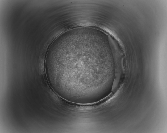 X0000088160889200705291909