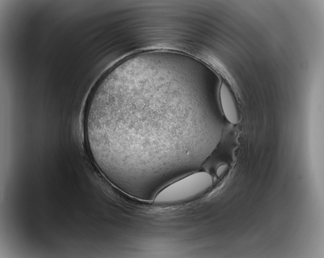 X0000088160892200705291909