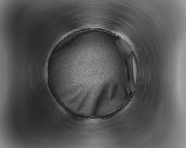 X0000088160894200705291909