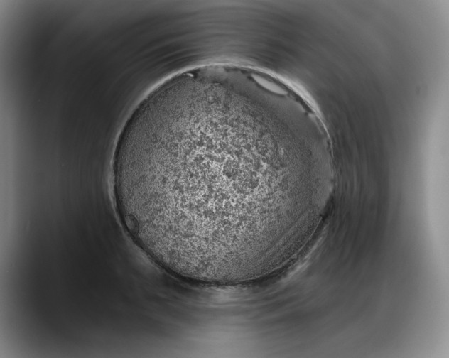 X0000088160895200705291909