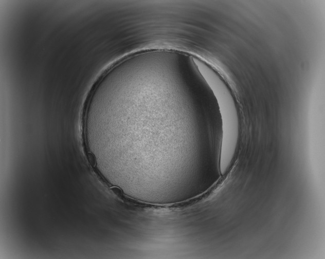 X0000088160896200705291909
