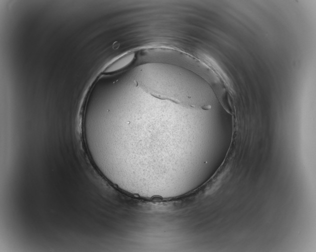 X0000088160900200705291909