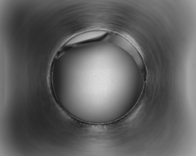 X0000088160901200705291909