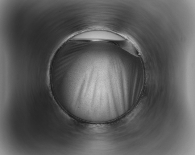 X0000088160902200705291909
