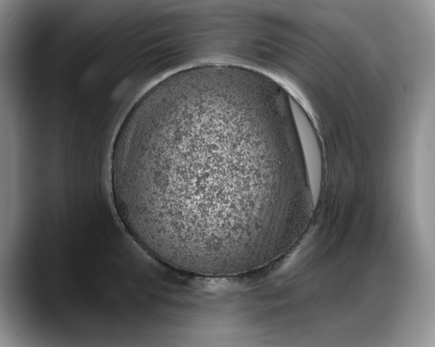 X0000088160903200705291909