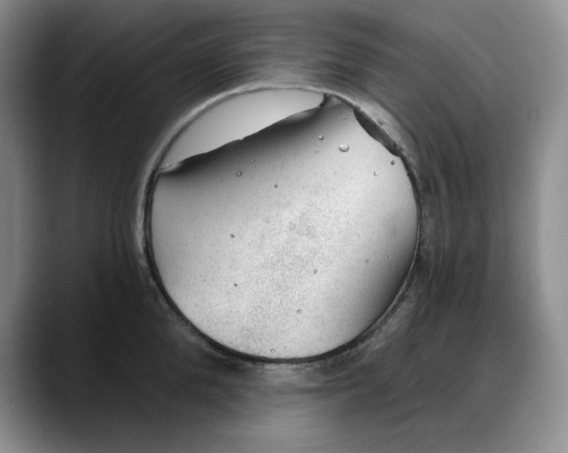 X0000088160904200705291909