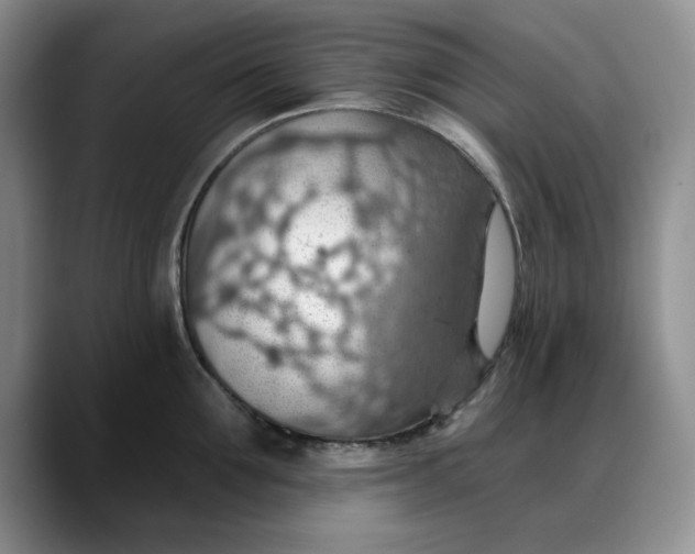X0000088160907200705291909