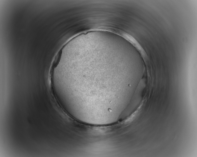 X0000088160908200705291909