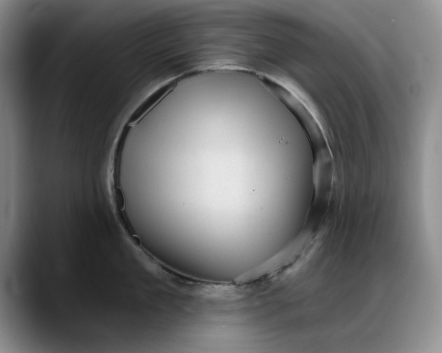 X0000088160909200705291909