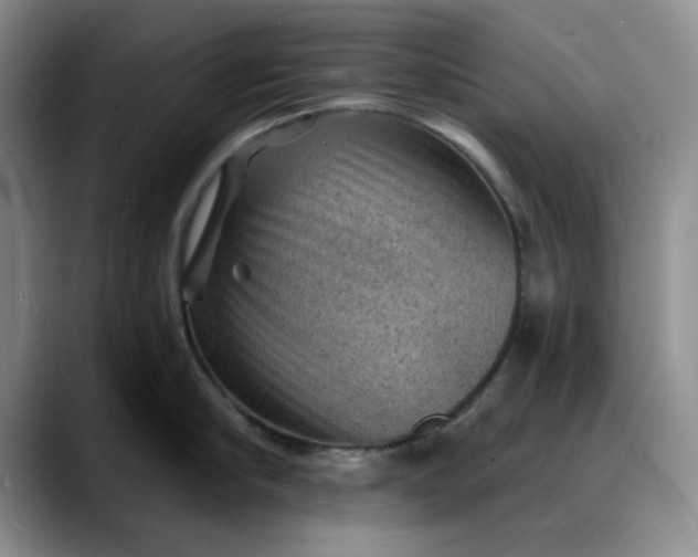 X0000088160910200705291909