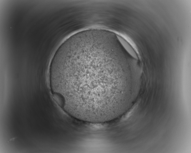 X0000088160911200705291909
