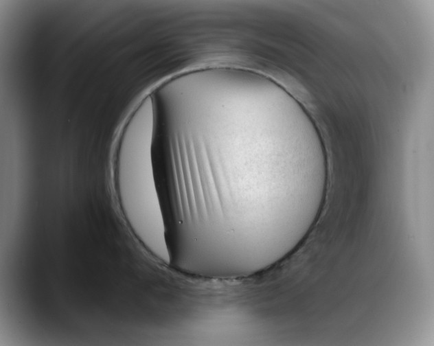 X0000088160912200705291909