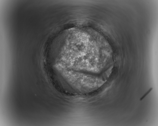 X0000088160913200705291908