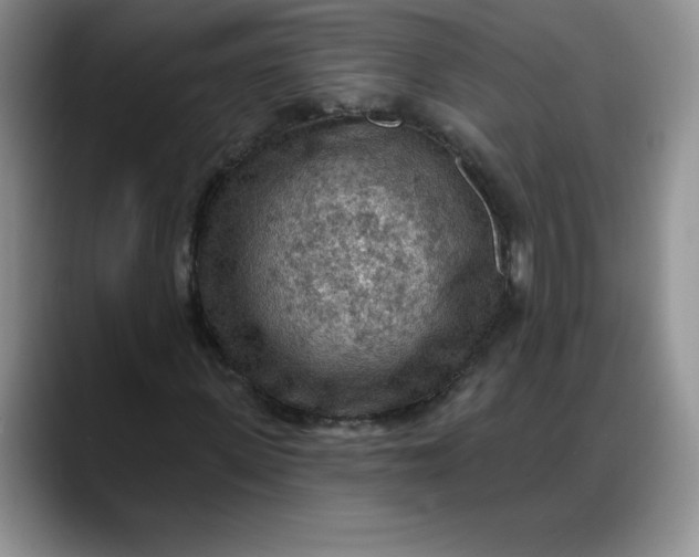X0000088160915200705291908