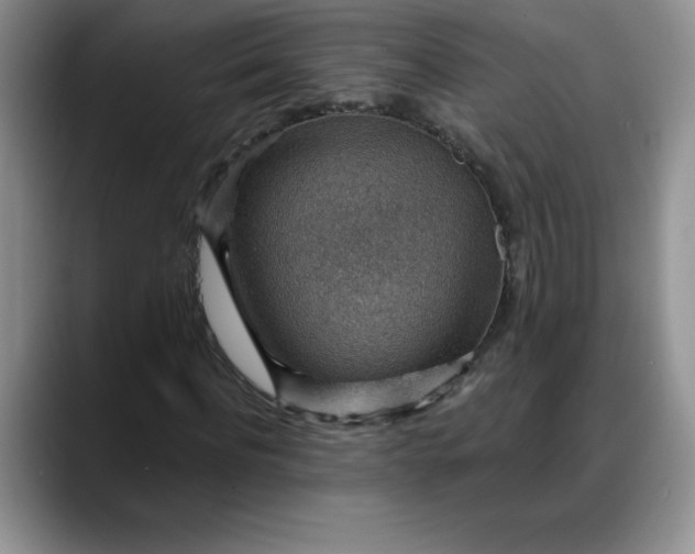 X0000088160916200705291908