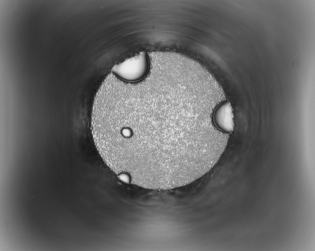 X0000088160918200705291908