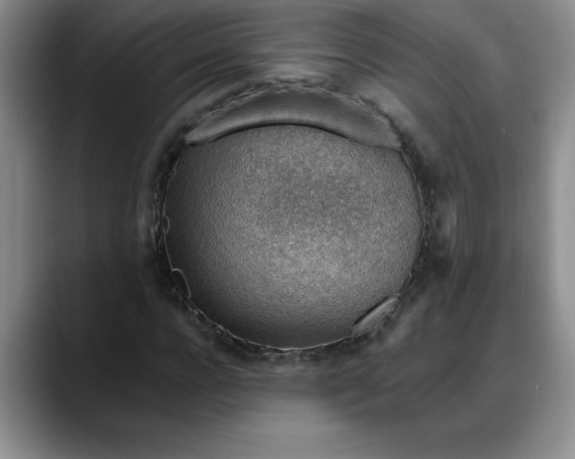 X0000088160920200705291908