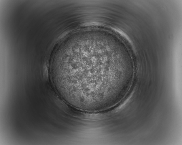 X0000088160921200705291908