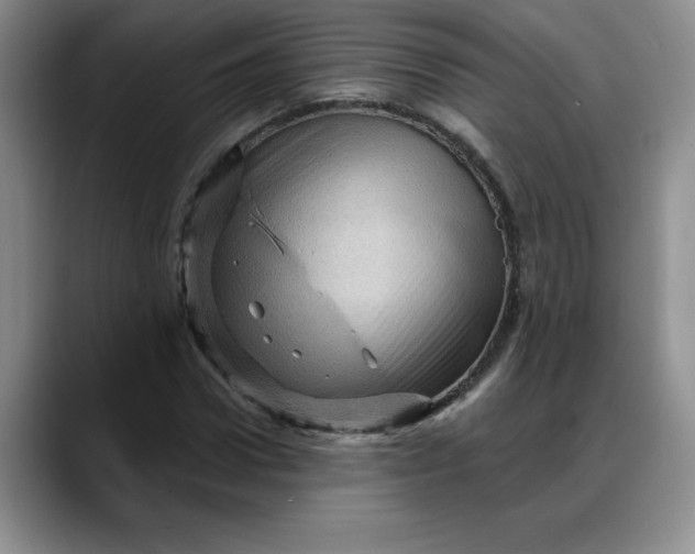 X0000088160922200705291908