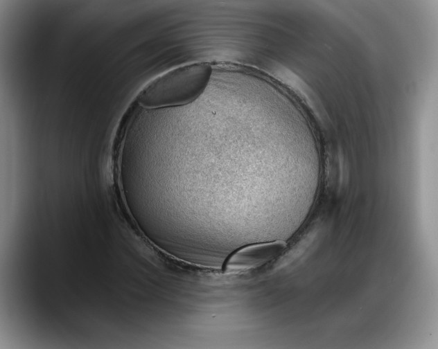 X0000088160924200705291908