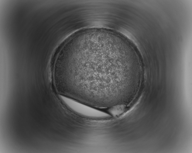 X0000088160925200705291908