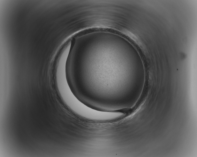 X0000088160926200705291908