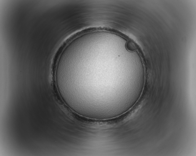 X0000088160927200705291908