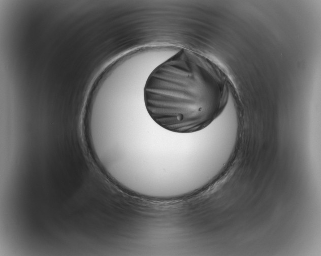 X0000088160928200705291908