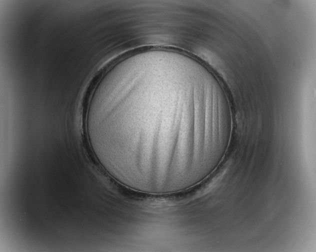X0000088160931200705291908