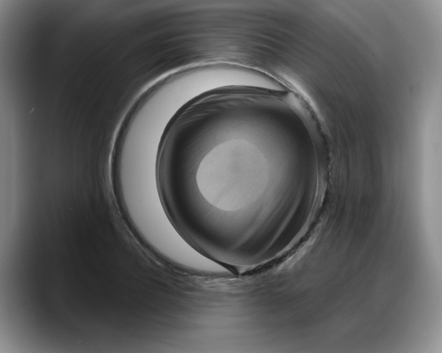 X0000088160932200705291908