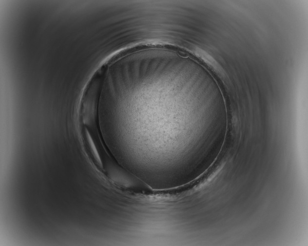 X0000088160934200705291908