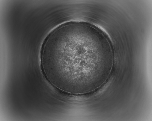 X0000088160935200705291908