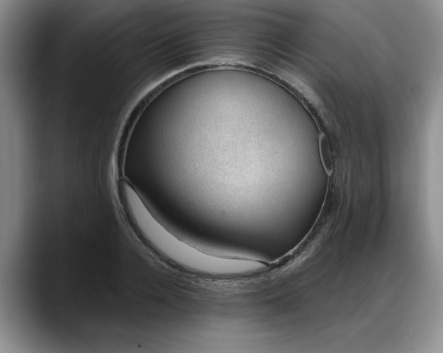 X0000088160936200705291908