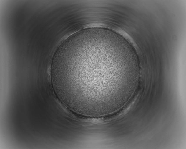 X0000088160937200705291908