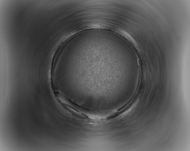 X0000088160938200705291908