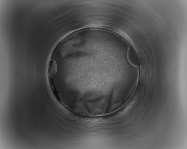 X0000088160939200705291908