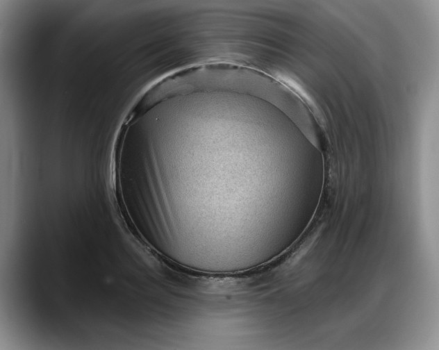 X0000088160940200705291909