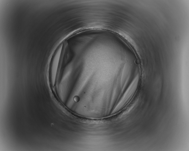 X0000088160941200705291909