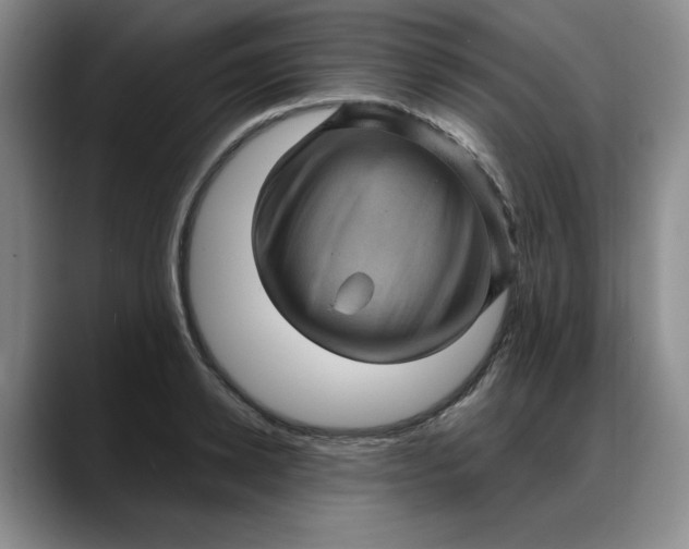 X0000088160942200705291909