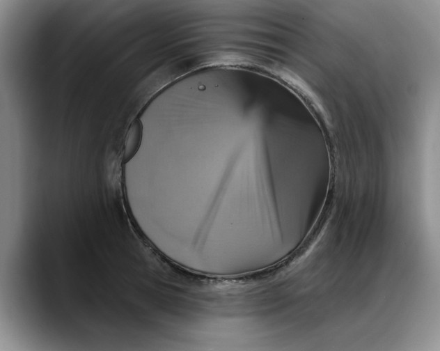 X0000088160945200705291909