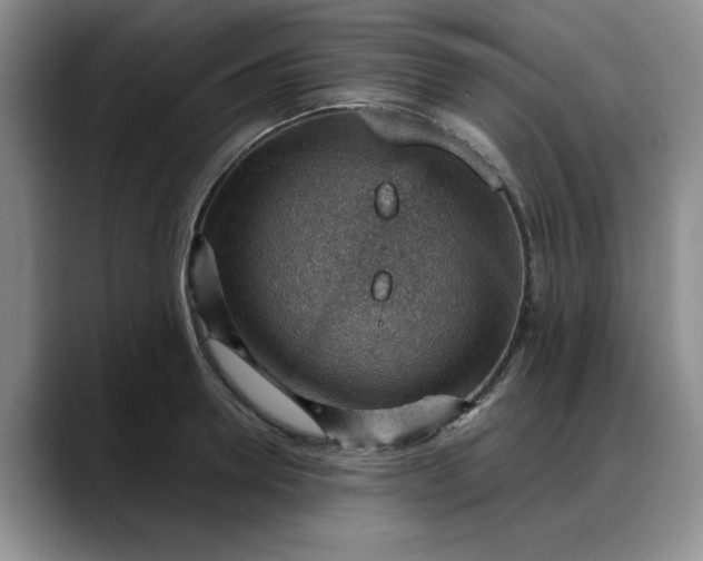X0000088160946200705291909