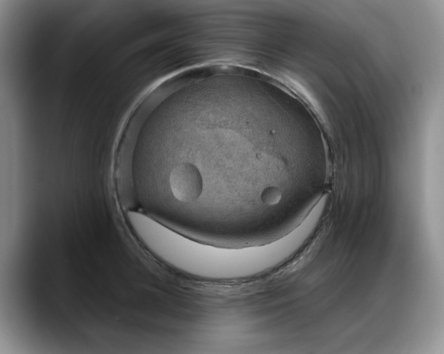X0000088160948200705291909