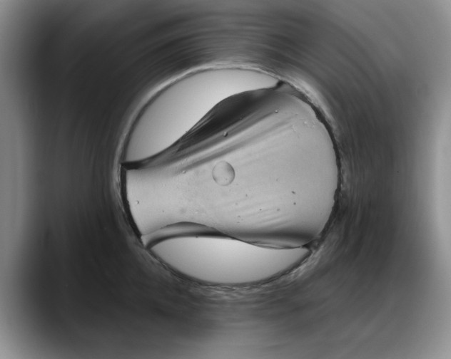 X0000088160952200705291909