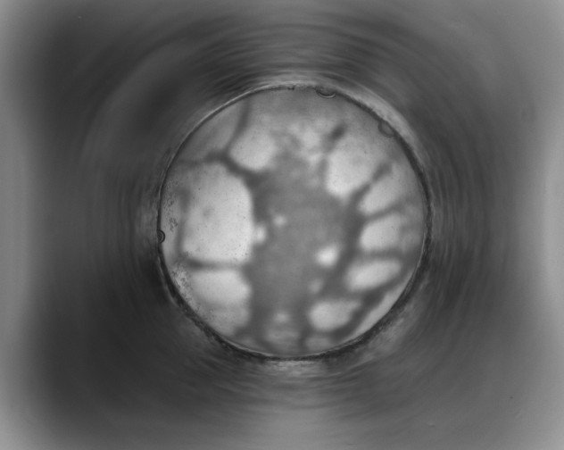 X0000088160953200705291909