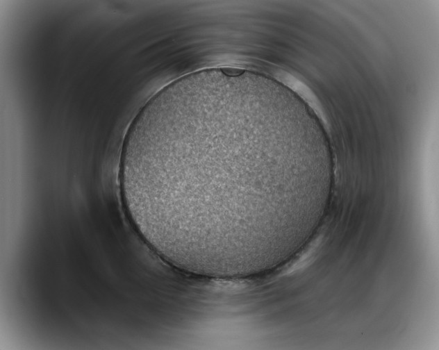 X0000088160954200705291909