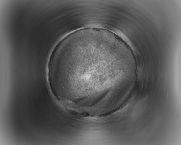 X0000088160955200705291909