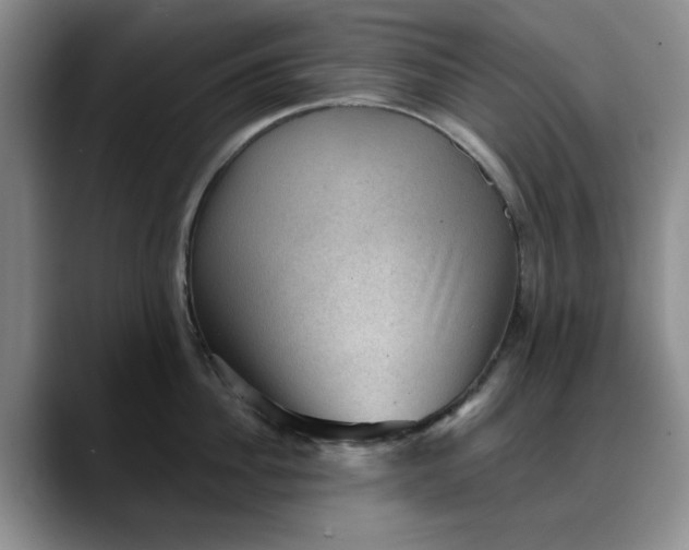 X0000088160956200705291909