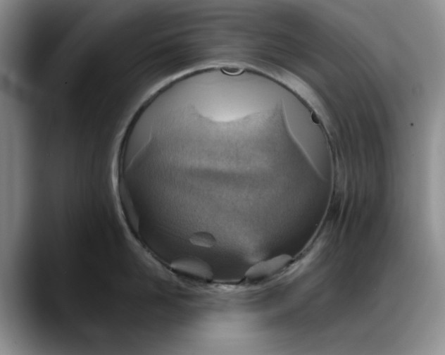 X0000088160958200705291909